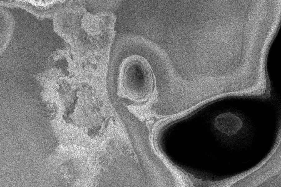 Respiro Permeabile Generative Audiovisual Installation